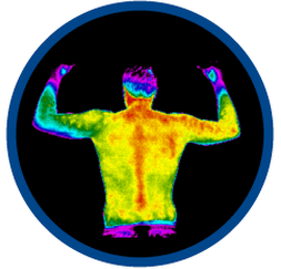 ChiroTherm Thermographic Imaging